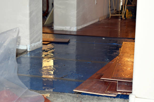Professional Burst Pipe Cleanup technician working in Mount Vernon, TX
